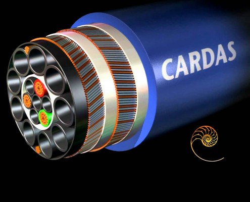 cardas